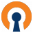 OpenVPN
